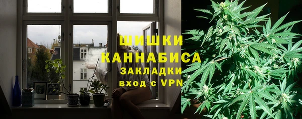 твердый Бронницы